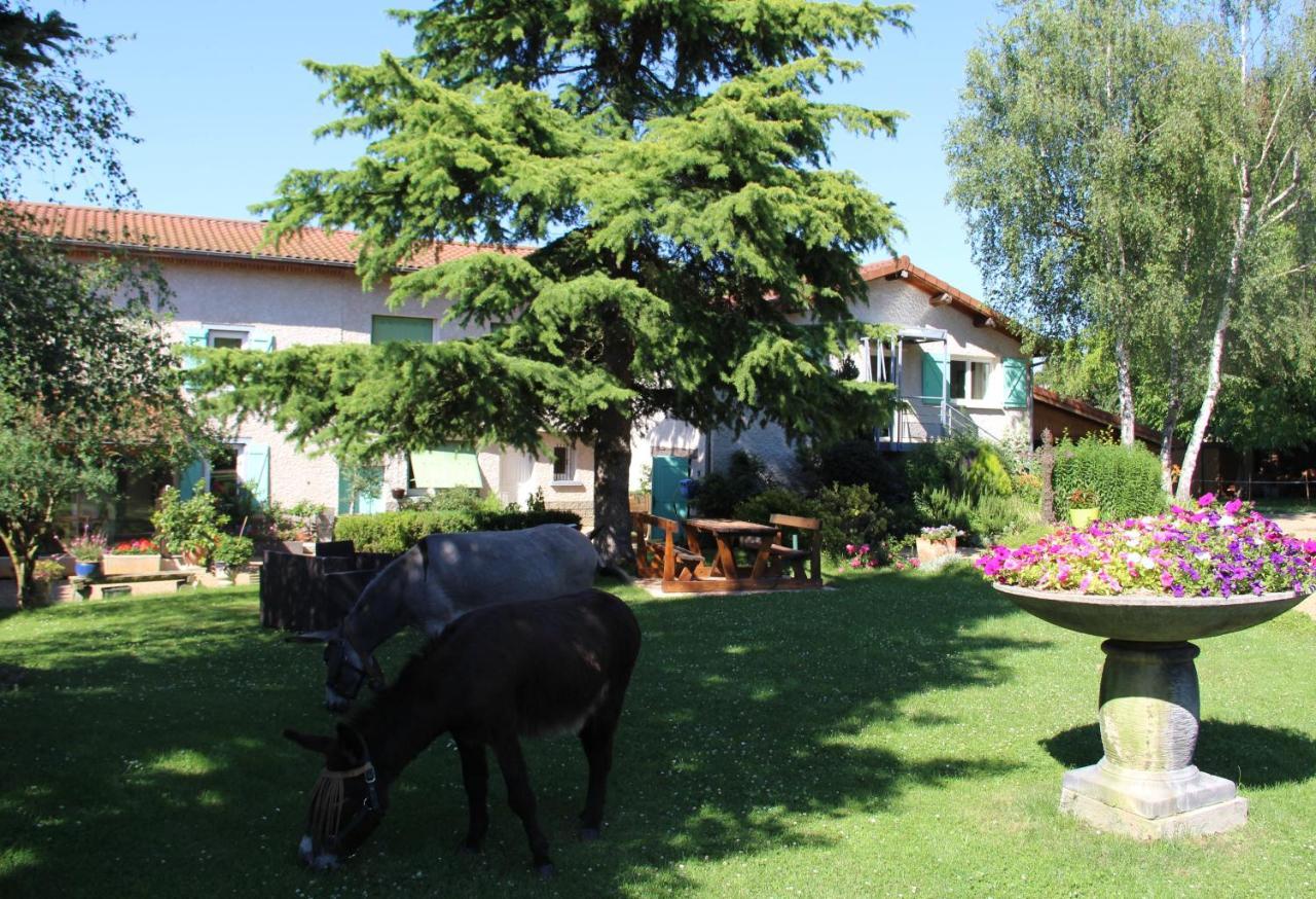 La Ferme De Capucine Bed & Breakfast Culhat Exterior photo